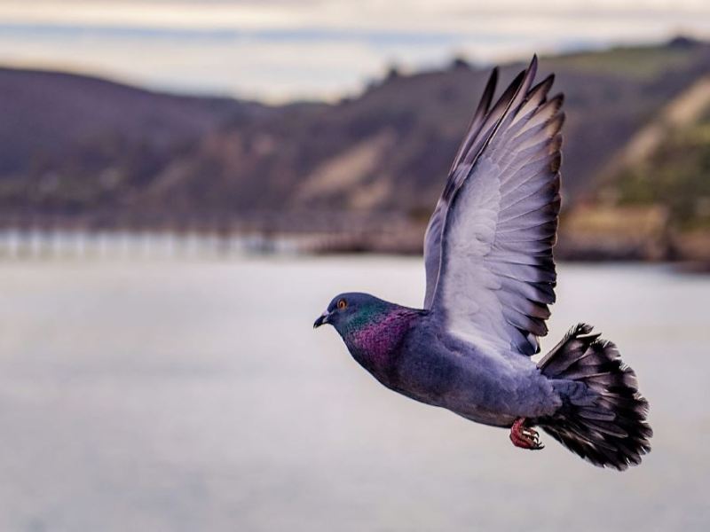 Don’t Make These Morning&nbsp;Mistakes