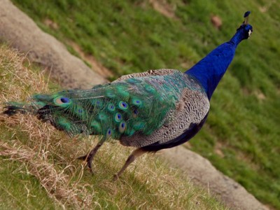 Tips For Better&nbsp;Health