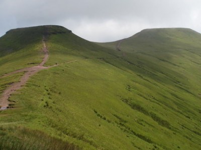 Strengthen Your Resilience