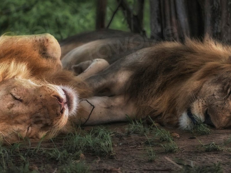 Handy ways to practice&nbsp;self-care